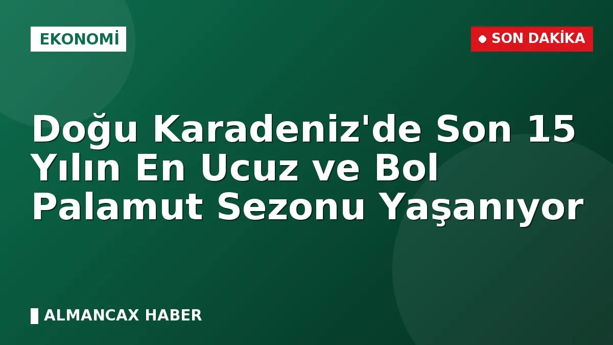 Doğu Karadeniz'de Son 15 Yılın En Ucuz ve Bol Palamut Sezonu Yaşanıyor