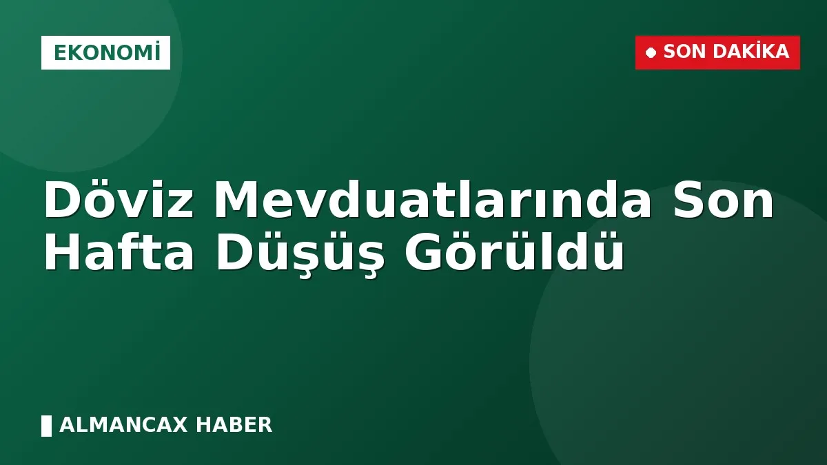 Döviz Mevduatlarında Son Hafta Düşüş Görüldü