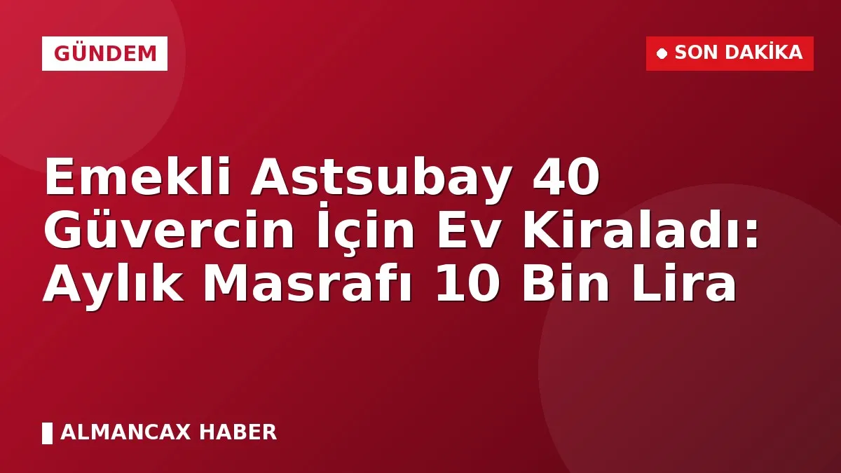 Emekli Astsubay 40 Güvercin İçin Ev Kiraladı: Aylık Masrafı 10 Bin Lira