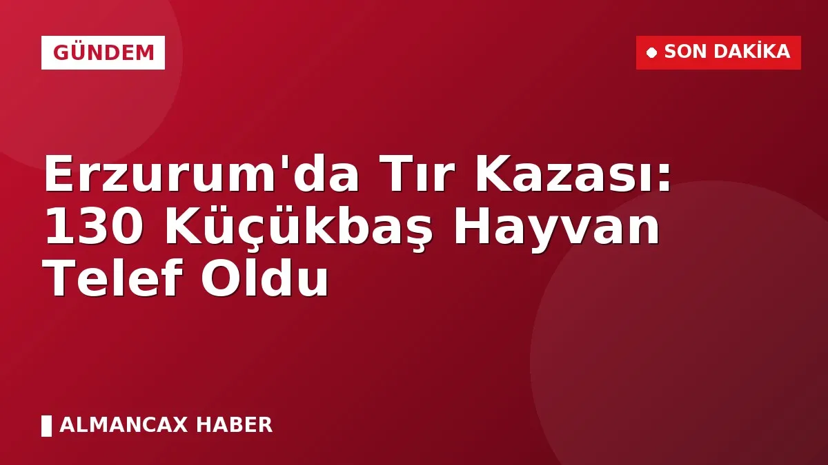 Erzurum'da Tır Kazası: 130 Küçükbaş Hayvan Telef Oldu