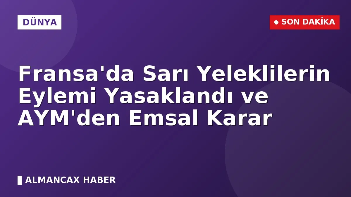 Fransa'da Sarı Yeleklilerin Eylemi Yasaklandı ve AYM'den Emsal Karar