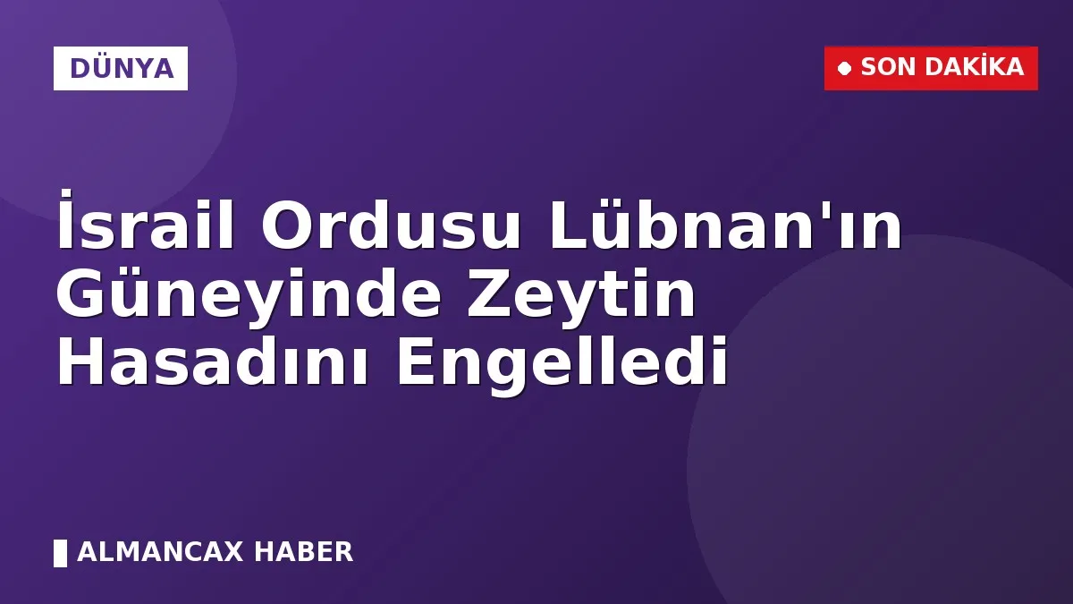 İsrail Ordusu Lübnan'ın Güneyinde Zeytin Hasadını Engelledi
