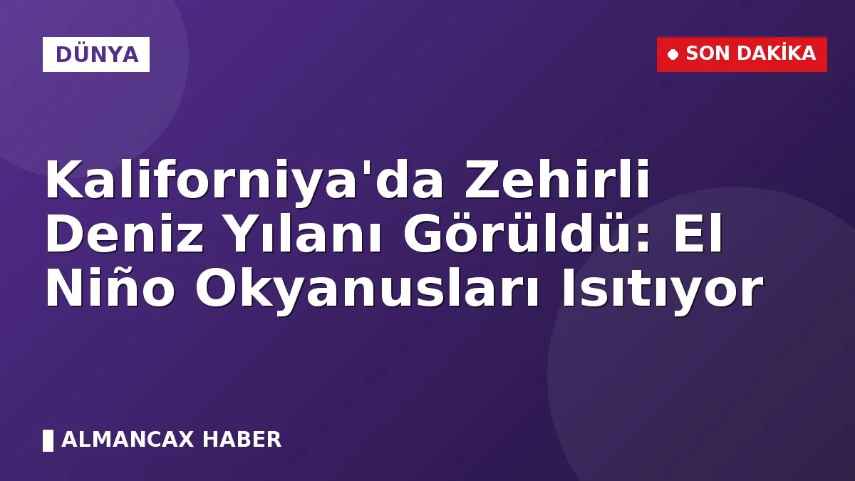 Kaliforniya'da Zehirli Deniz Yılanı Görüldü: El Niño Okyanusları Isıtıyor