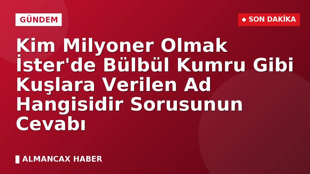 Kim Milyoner Olmak İster'de Bülbül Kumru Gibi Kuşlara Verilen Ad Hangisidir Sorusunun Cevabı
