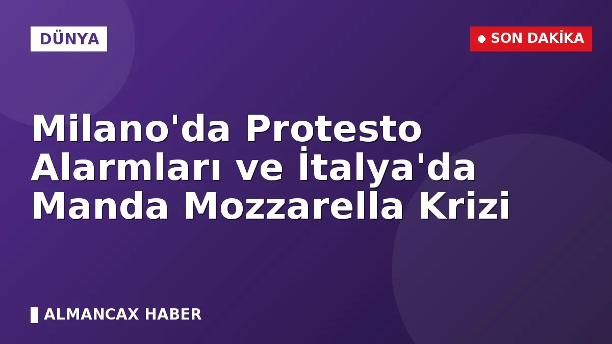 Milano'da Protesto Alarmları ve İtalya'da Manda Mozzarella Krizi