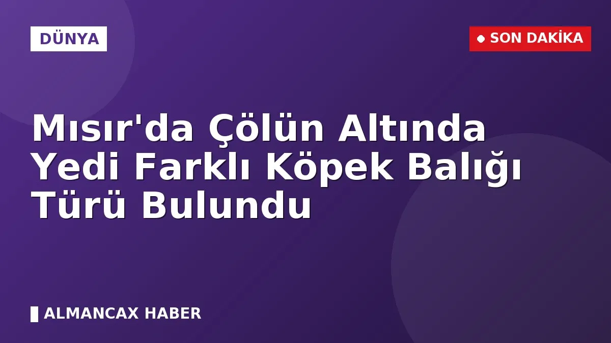 Mısır'da Çölün Altında Yedi Farklı Köpek Balığı Türü Bulundu