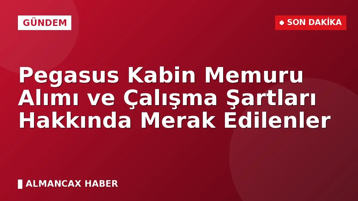 Pegasus Kabin Memuru Alımı ve Çalışma Şartları Hakkında Merak Edilenler