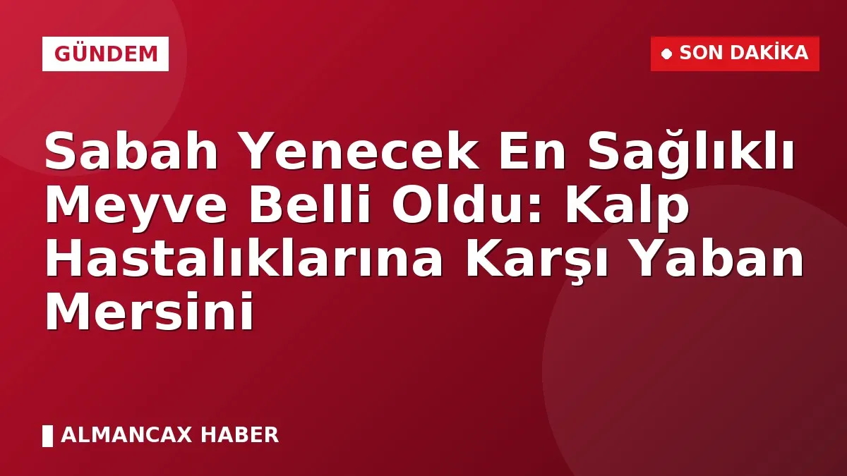 Sabah Yenecek En Sağlıklı Meyve Belli Oldu: Kalp Hastalıklarına Karşı Yaban Mersini