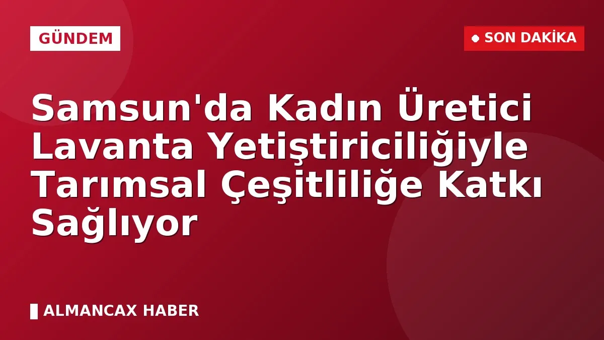 Samsun'da Kadın Üretici Lavanta Yetiştiriciliğiyle Tarımsal Çeşitliliğe Katkı Sağlıyor