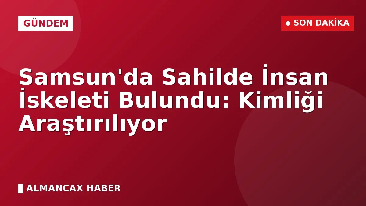 Samsun'da Sahilde İnsan İskeleti Bulundu: Kimliği Araştırılıyor