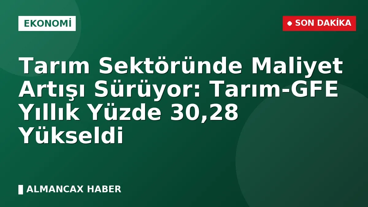 Tarım Sektöründe Maliyet Artışı Sürüyor: Tarım-GFE Yıllık Yüzde 30,28 Yükseldi