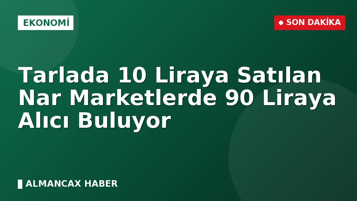 Tarlada 10 Liraya Satılan Nar Marketlerde 90 Liraya Alıcı Buluyor