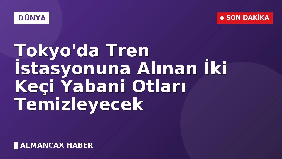 Tokyo'da Tren İstasyonuna Alınan İki Keçi Yabani Otları Temizleyecek