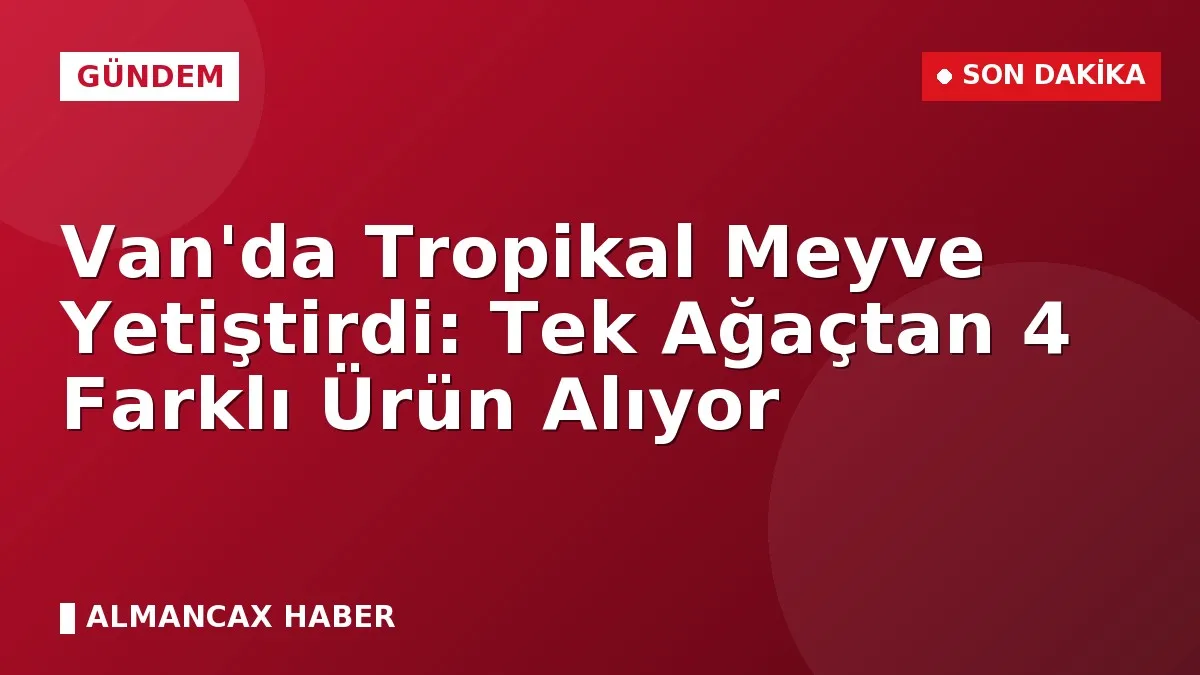 Van'da Tropikal Meyve Yetiştirdi: Tek Ağaçtan 4 Farklı Ürün Alıyor