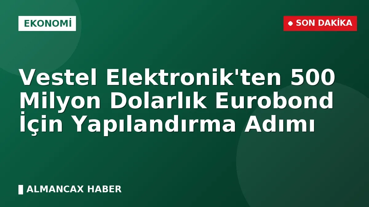 Vestel Elektronik'ten 500 Milyon Dolarlık Eurobond İçin Yapılandırma Adımı