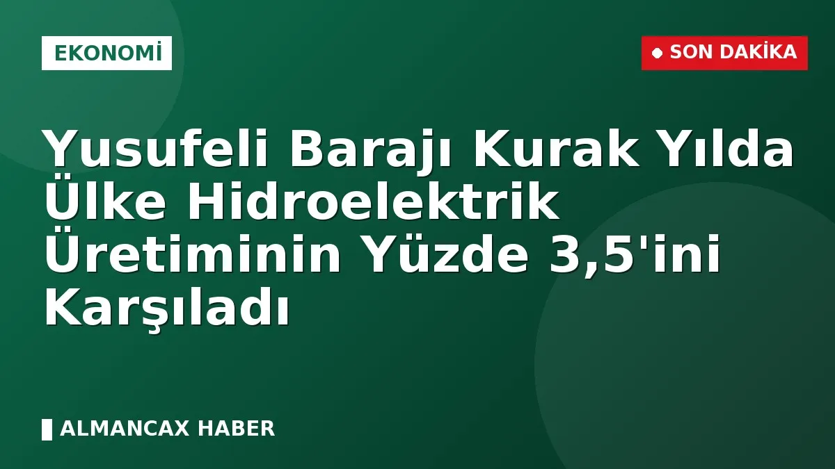 Yusufeli Barajı Kurak Yılda Ülke Hidroelektrik Üretiminin Yüzde 3,5'ini Karşıladı