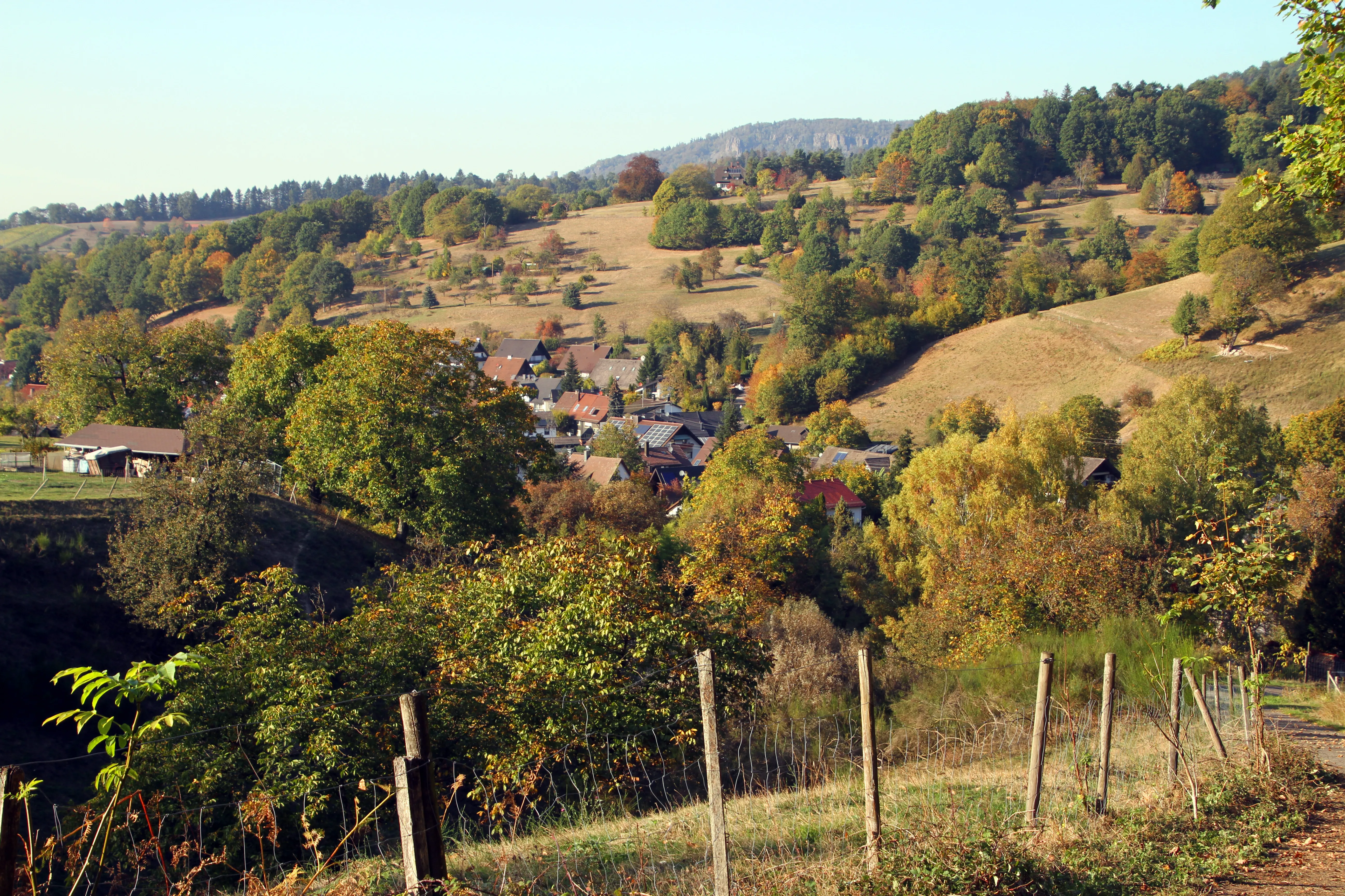 Almanya'da bir Wanderweg (yürüyüş yolu) manzarası