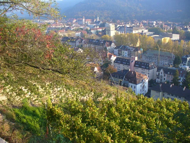 Almanya'da bir Weinberg (bağ/üzüm bahçesi)